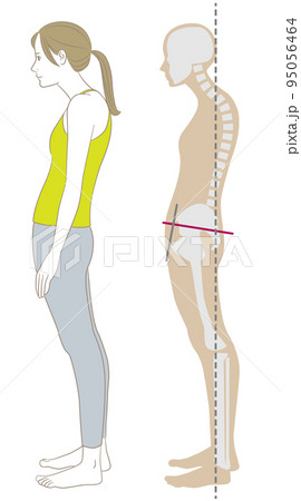 猫背、スウェイバックの姿勢で立つ横向きの女性と骨格 95056464