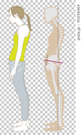 猫背、スウェイバックの姿勢で立つ横向きの女性と骨格 95056464