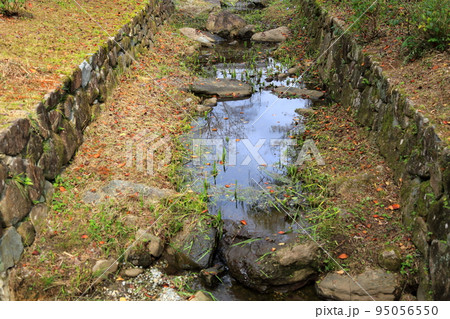 岐阜清流里山公園散策・49（岐阜県美濃加茂市） 95056550