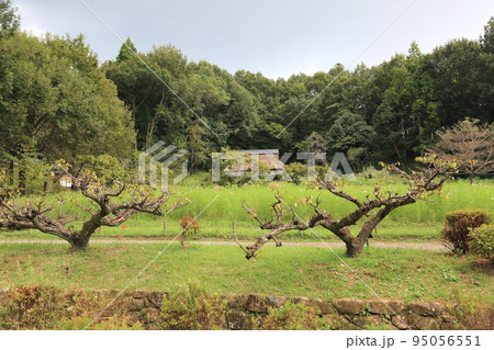 岐阜清流里山公園散策・50（岐阜県美濃加茂市） 95056551