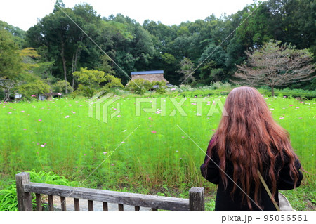 岐阜清流里山公園散策・60（岐阜県美濃加茂市） 95056561