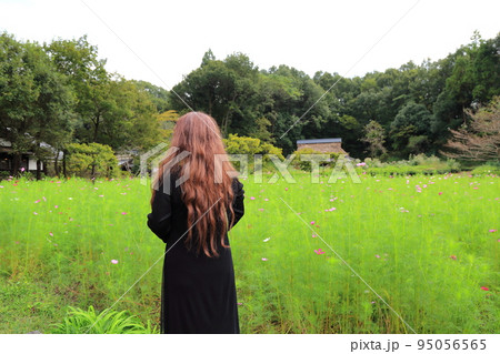 岐阜清流里山公園散策・64（岐阜県美濃加茂市） 95056565