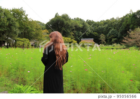 岐阜清流里山公園散策・65（岐阜県美濃加茂市） 95056566