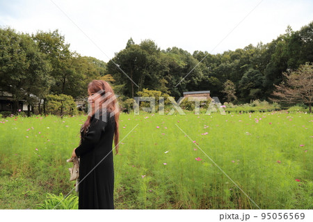岐阜清流里山公園散策・68（岐阜県美濃加茂市） 95056569