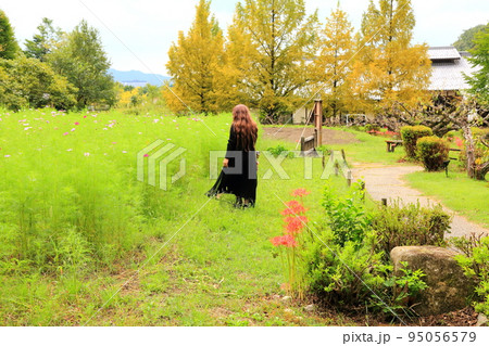 岐阜清流里山公園散策・78（岐阜県美濃加茂市） 95056579