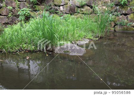 岐阜清流里山公園散策・85（岐阜県美濃加茂市） 95056586