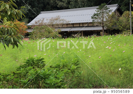 岐阜清流里山公園散策・88（岐阜県美濃加茂市） 95056589