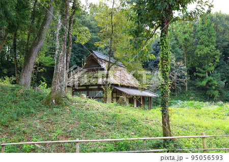 岐阜清流里山公園散策・92（岐阜県美濃加茂市） 95056593