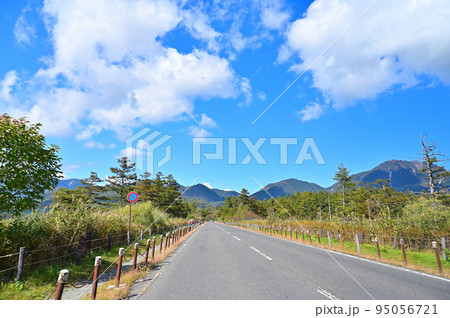 戦場ヶ原　走行中車内撮影　栃木県日光市 95056721