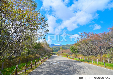 戦場ヶ原 走行中車内撮影 栃木県日光市 戦場ヶ原 走行中車内撮影 栃木県日光市 95056723