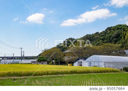 秋の田園風景 95057664