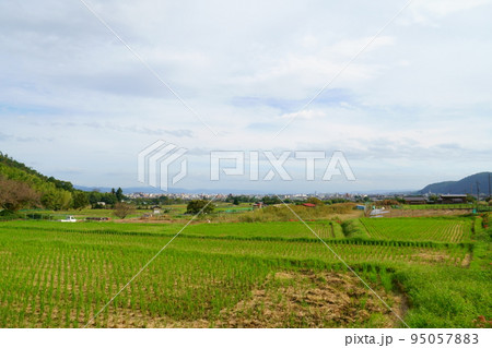 京都の嵯峨野の風景 95057883
