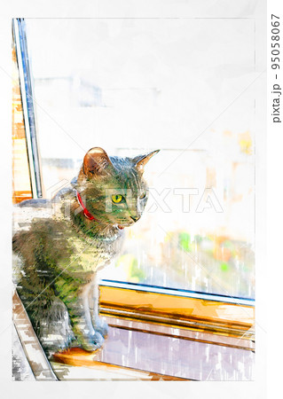 スケッチ風 猫 ネコ ねこ キジトラ グレー 雌 メス 雌ねこ 雌ネコ 元気 かわいい 癒し 95058067