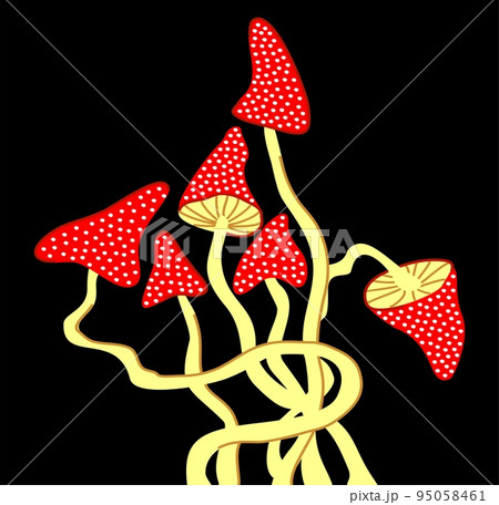 Fly agaric on black background. Bright decorative mushrooms. 95058461