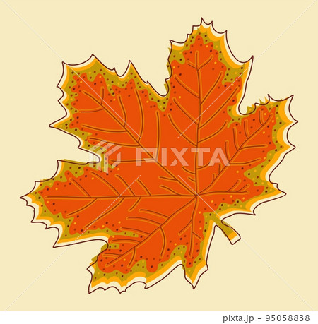 Vector isolated illustration of maple leaf. Vector isolated illustration of maple leaf. 95058838