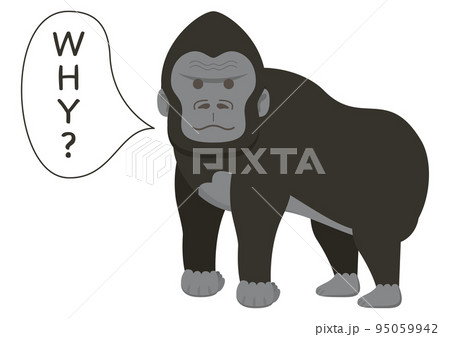 ゴリラ WHY? 95059942