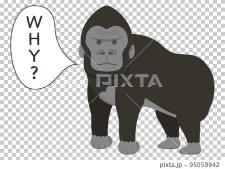 Gorilla WHY? 95059942