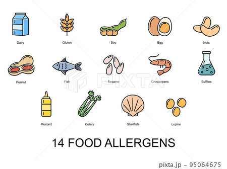 14 food allergens. Set of color icons of basic allergens . Vector illustration 14 food allergens. Set of color icons of basic allergens . Vector illustration 95064675