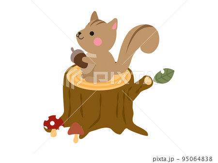 どんぐりを持ったかわいいリスと切り株のイラストのイラスト素材