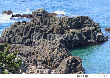 俵磯　爪木崎　南伊豆　下田　伊豆半島ジオパーク　柱状節理 95065747