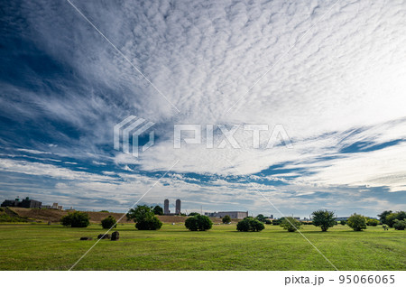 淀川河川公園の空に広がるうろこ雲 淀川河川公園の空に広がるうろこ雲 95066065