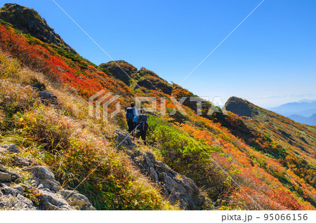 紅葉の谷川岳を歩く登山者 95066156