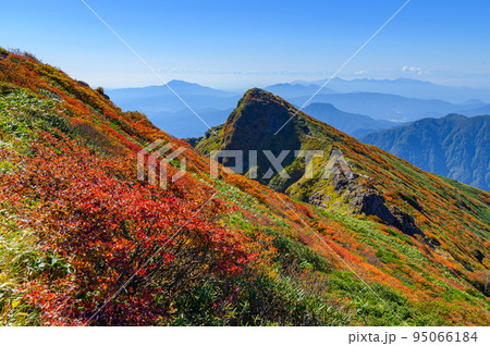 紅葉の谷川岳山頂・快晴の秋晴れと山並みの絶景 紅葉の谷川岳山頂・快晴の秋晴れと山並みの絶景 95066184