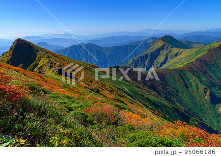 紅葉の谷川岳山頂・快晴の秋晴れと山並みの絶景 紅葉の谷川岳山頂・快晴の秋晴れと山並みの絶景 95066186