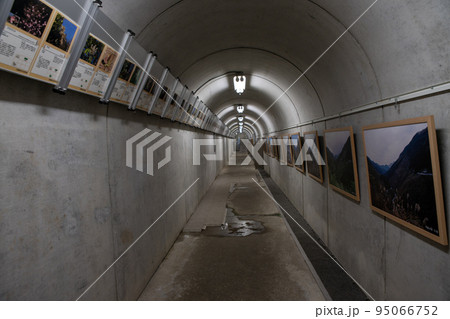 奥秩父もみじ湖　滝沢ダム　ダム下エレベーターからの通路 95066752