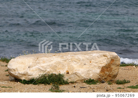 Stones in a city park on the Mediterranean coast in Israel. Stones in a city park on the Mediterranean coast in Israel. 95067269
