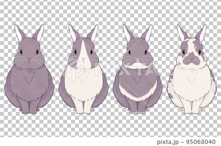 各種圖案的灰兔插圖集 95068040