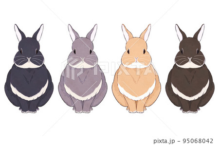 いろいろな毛色のうさぎのイラストセット 95068042