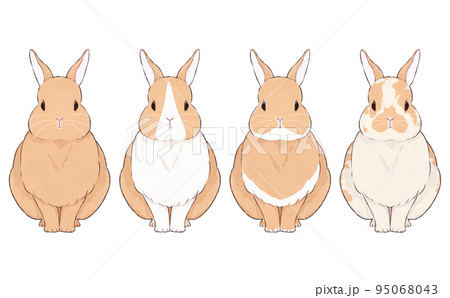 いろいろな模様の茶色うさぎのイラストセット 95068043