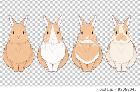いろいろな模様の茶色うさぎのイラストセット 95068043