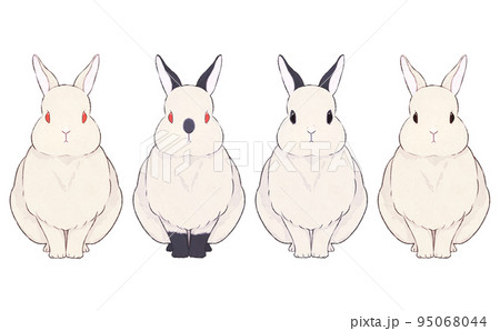 いろいろな模様の白いうさぎのイラストセット 95068044