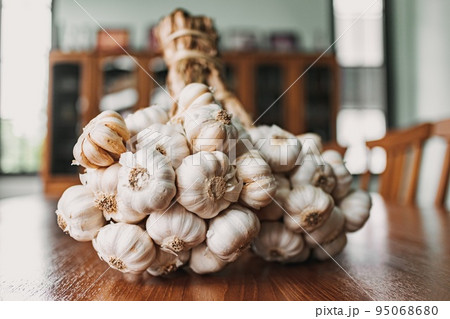 Bunch of garlic on the kitchen table. Concept of preparing to cook. 95068680