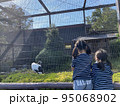動物を仲良く見ている姉妹 95068902
