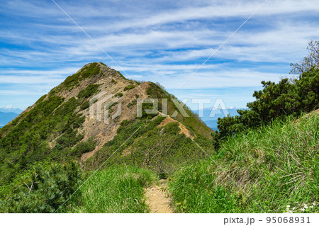 長野県の八ヶ岳権現小屋から見る東ギボシの山頂と稜線 95068931