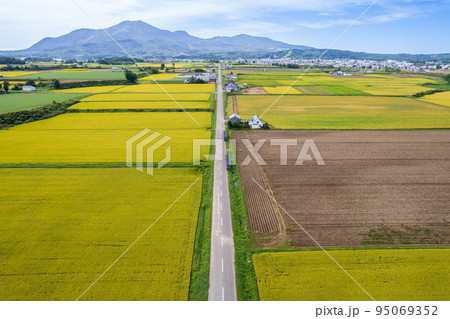 ドローン撮影｜ニセコアンヌプリと広大でカラフルな農地｜北海道倶知安町 95069352