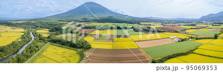 ドローン撮影｜パノラマ｜羊蹄山とカラフルな農地｜北海道 95069353