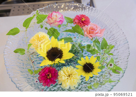 水に浮かぶ夏の花 95069521