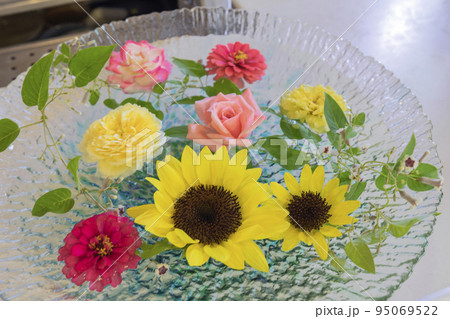 水に浮かぶ夏の花 95069522