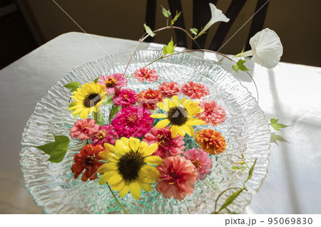 朝の窓辺を彩る夏の花 95069830