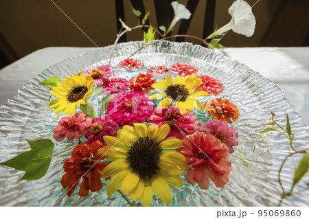 朝の窓辺を彩る夏の花 朝の窓辺を彩る夏の花 95069860