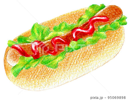 総菜パン　ホットドッグの色鉛筆画ワンポイント 95069898