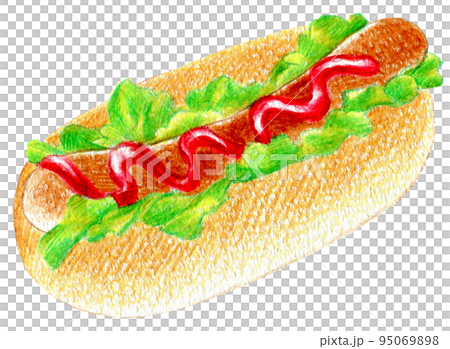 総菜パン　ホットドッグの色鉛筆画ワンポイント 95069898