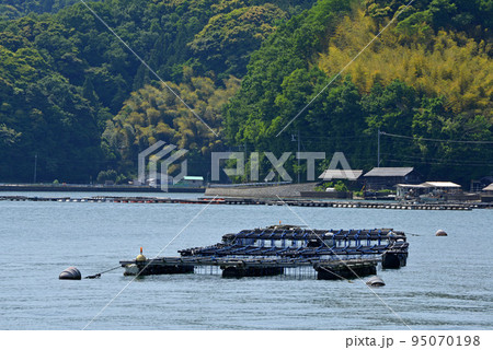 【京都府】釣り筏　舞鶴湾の海岸線　 95070198