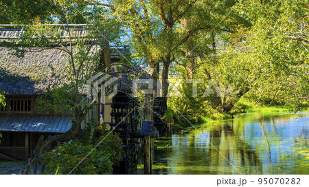 安曇野大王わさび農場 清流と水車のある風景 95070282