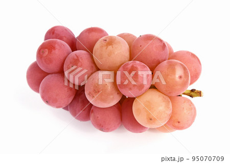 ぶどう（シナノスマイル） 95070709