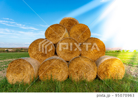 Stacked hay bales after harvest at the edge of the field with sun rays. Dry straw pressed into individual straw bales. Pile of straw bales with light leaks. Structures of hay and straw Stacked hay bales after harvest at the edge of the field with sun rays. Dry straw pressed into individual straw bales. Pile of straw bales with light leaks. Structures of hay and straw 95070963